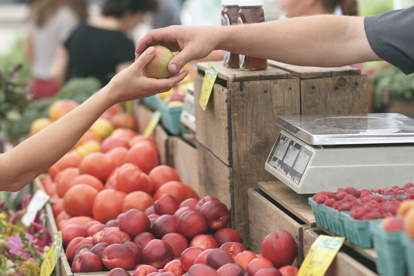 Photo d'illustration d'un marché aux fruits