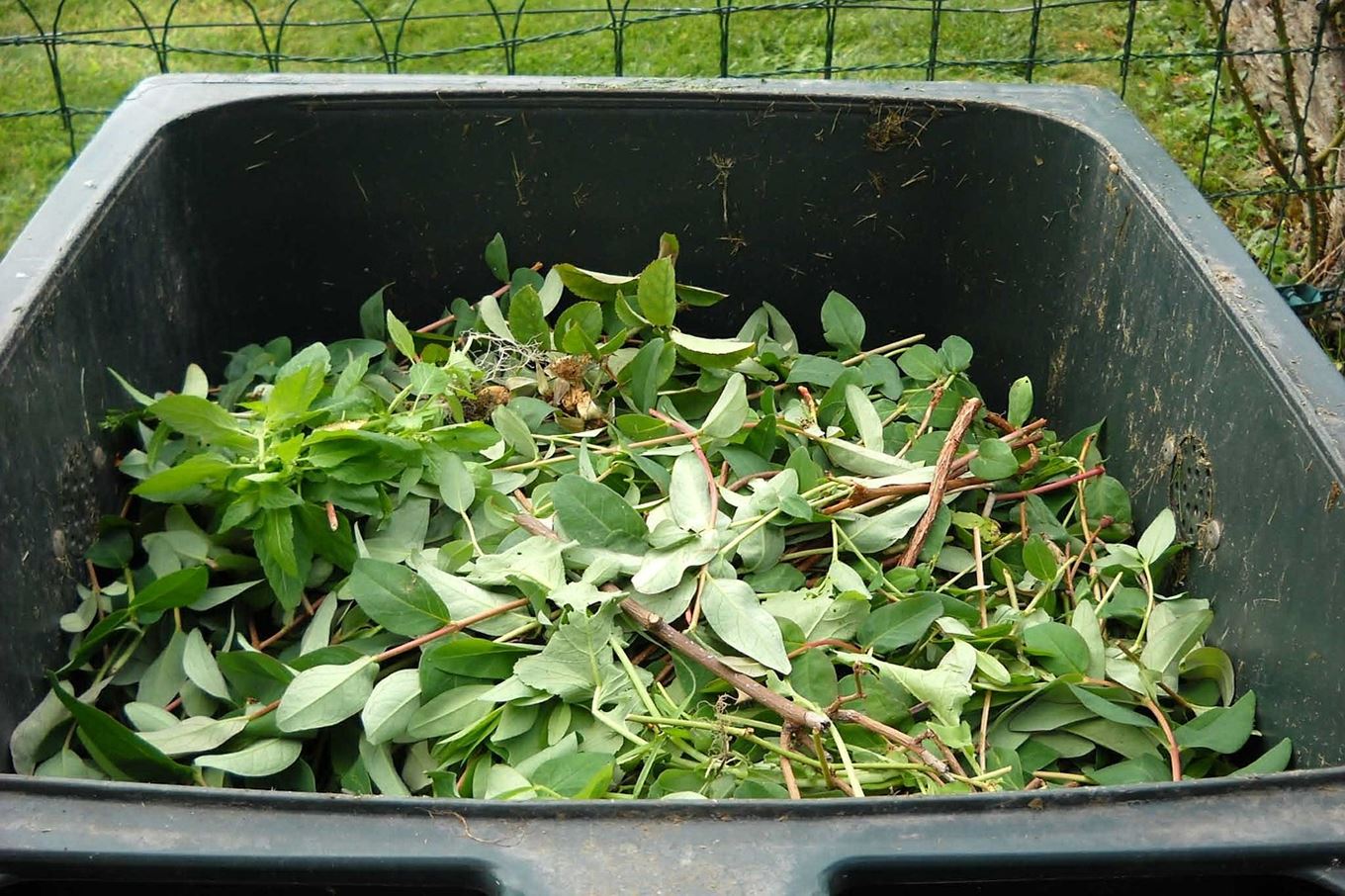 Photo d'illustration d'un composte plein de feuilles