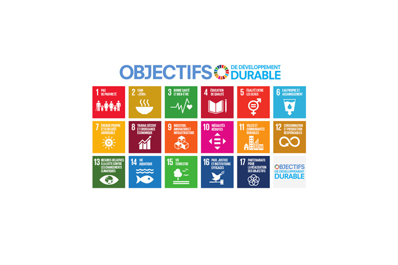 Divers objectifs de développement durable de l'Agenda 2030 sous forme de 17 cases de couleurs