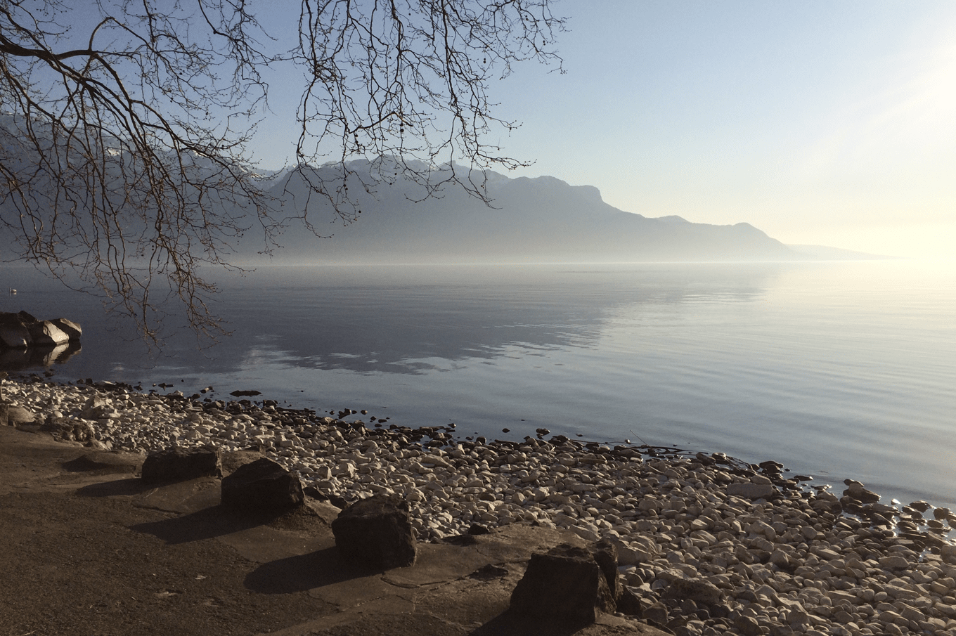 Une question du test : «Quel fleuve traverse le lac Léman ?» | Crédit : F. Rouyard