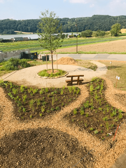 D’un terrain vague à un jardin participatif: un projet porté par l'association Montajoie à Montagny-près-Yverdon